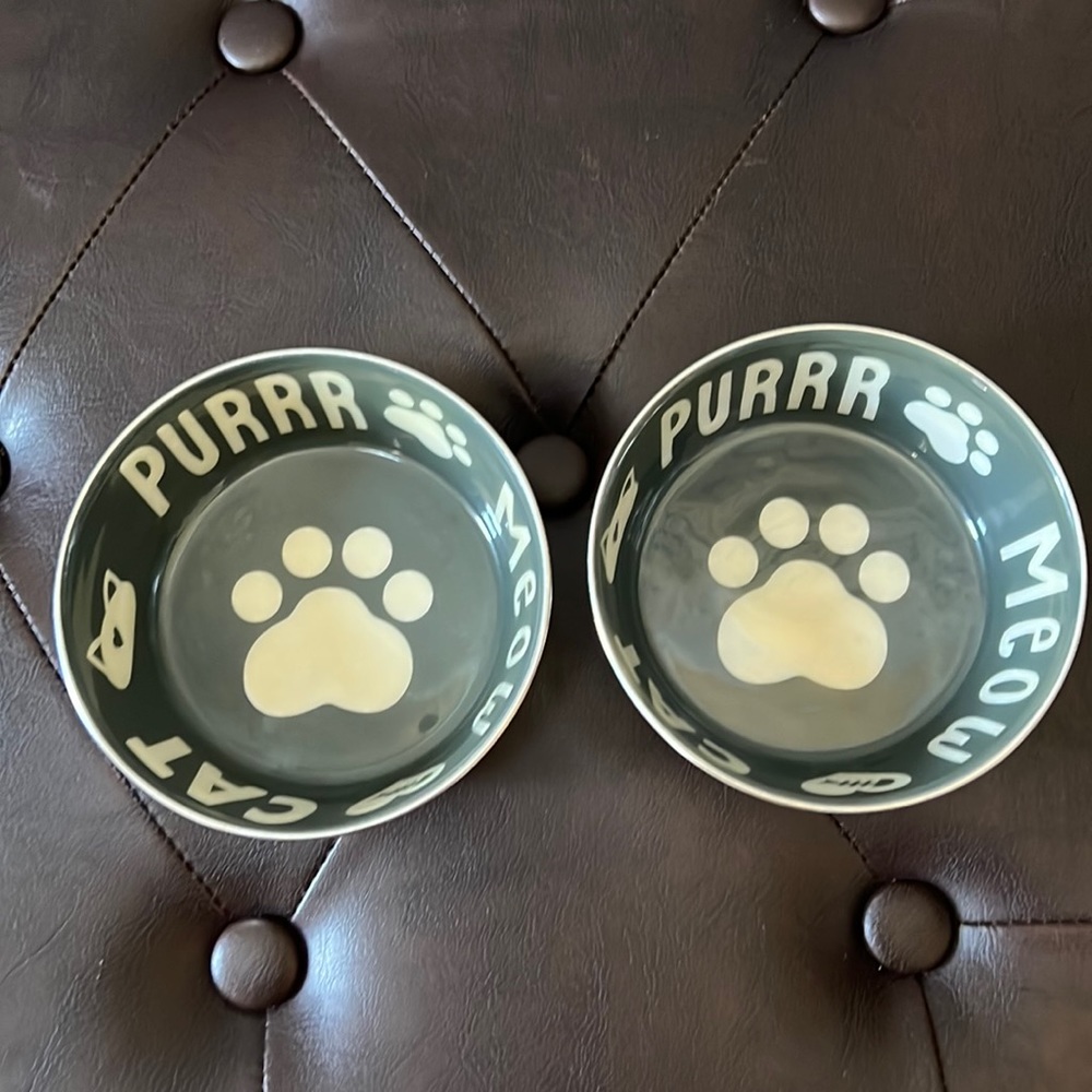 Pre-owned set of two cat food bowls, outside of bowl is stainless steel.